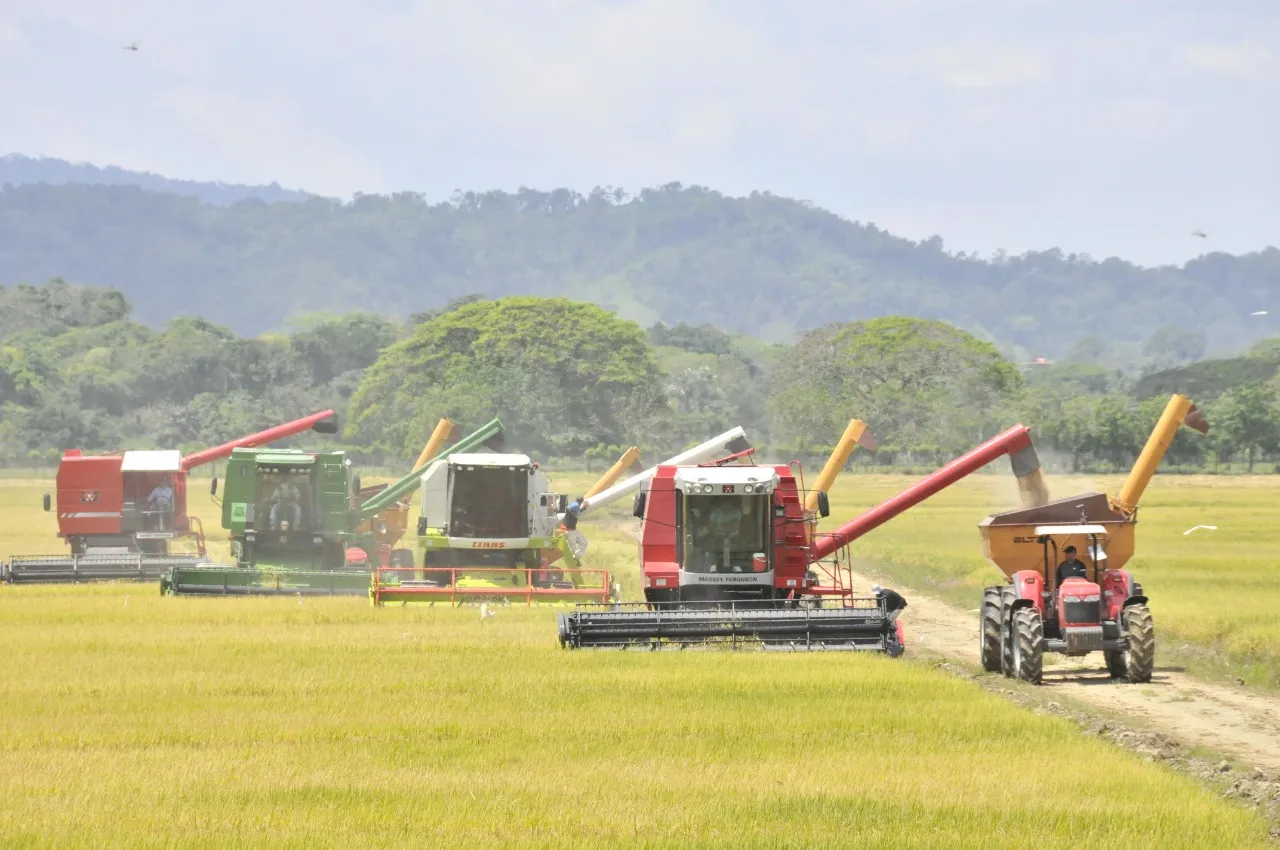 Los favoritos del crédito rural: ¿qué cultivos reciben más apoyo financiero?