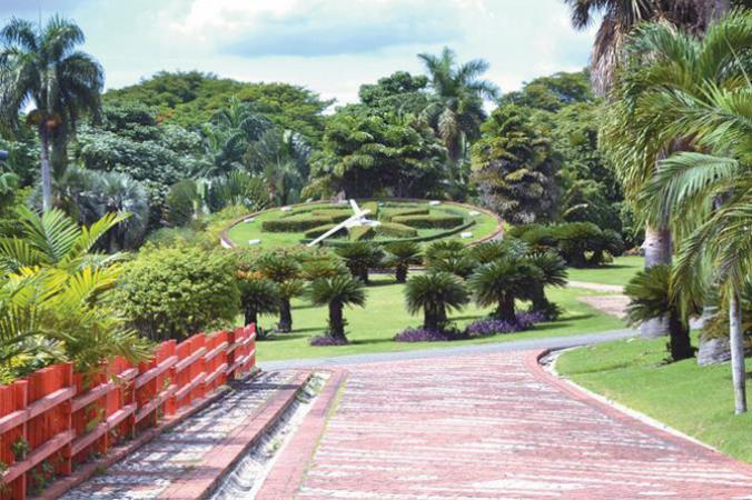 ¿Se pone en riesgo el Jardín Botánico? Gobierno aclara detalles de las obras viales en sus alrededores