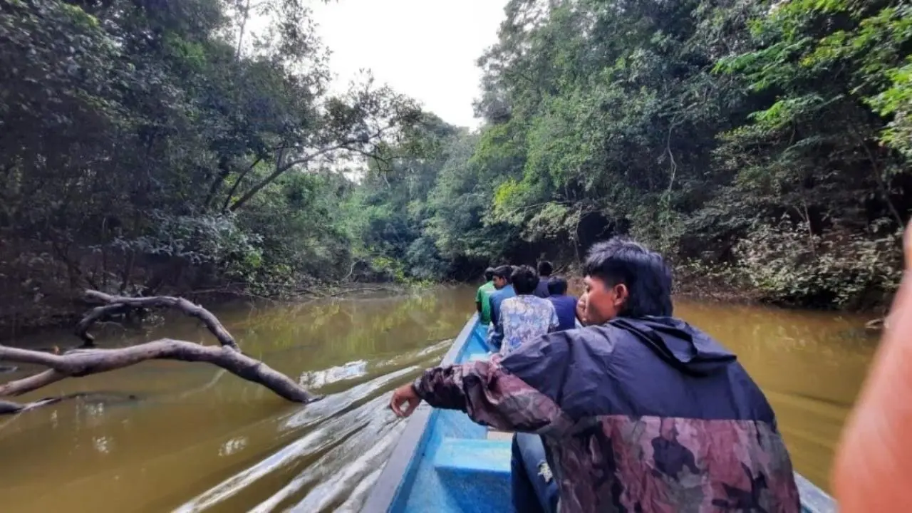 Oficina de la ONU denuncia desplazamiento de indígenas nukak por el conflicto colombiano