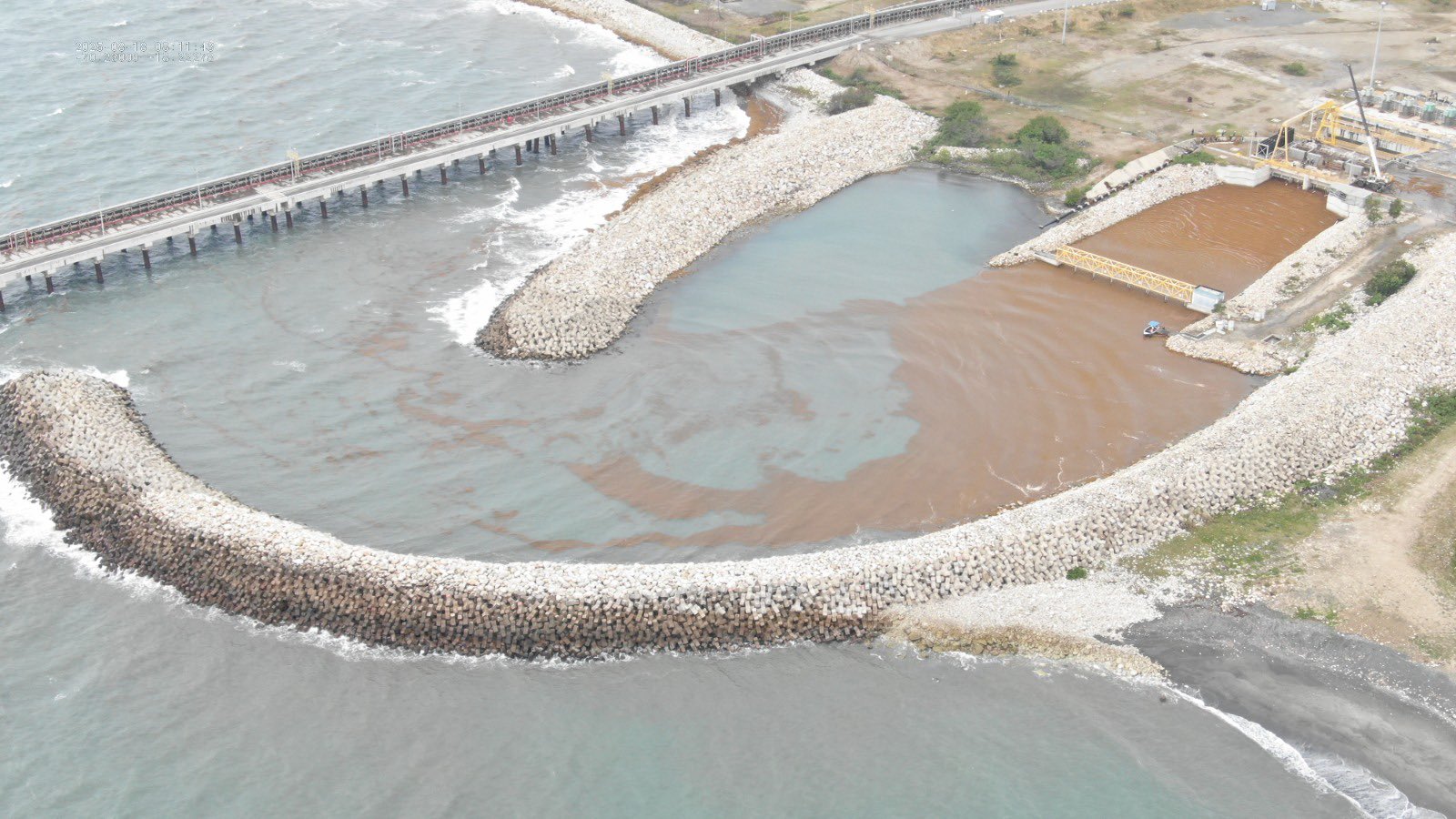 Cúmulo de sargazo en Punta Catalina: unidad 1 de la planta sale de operación