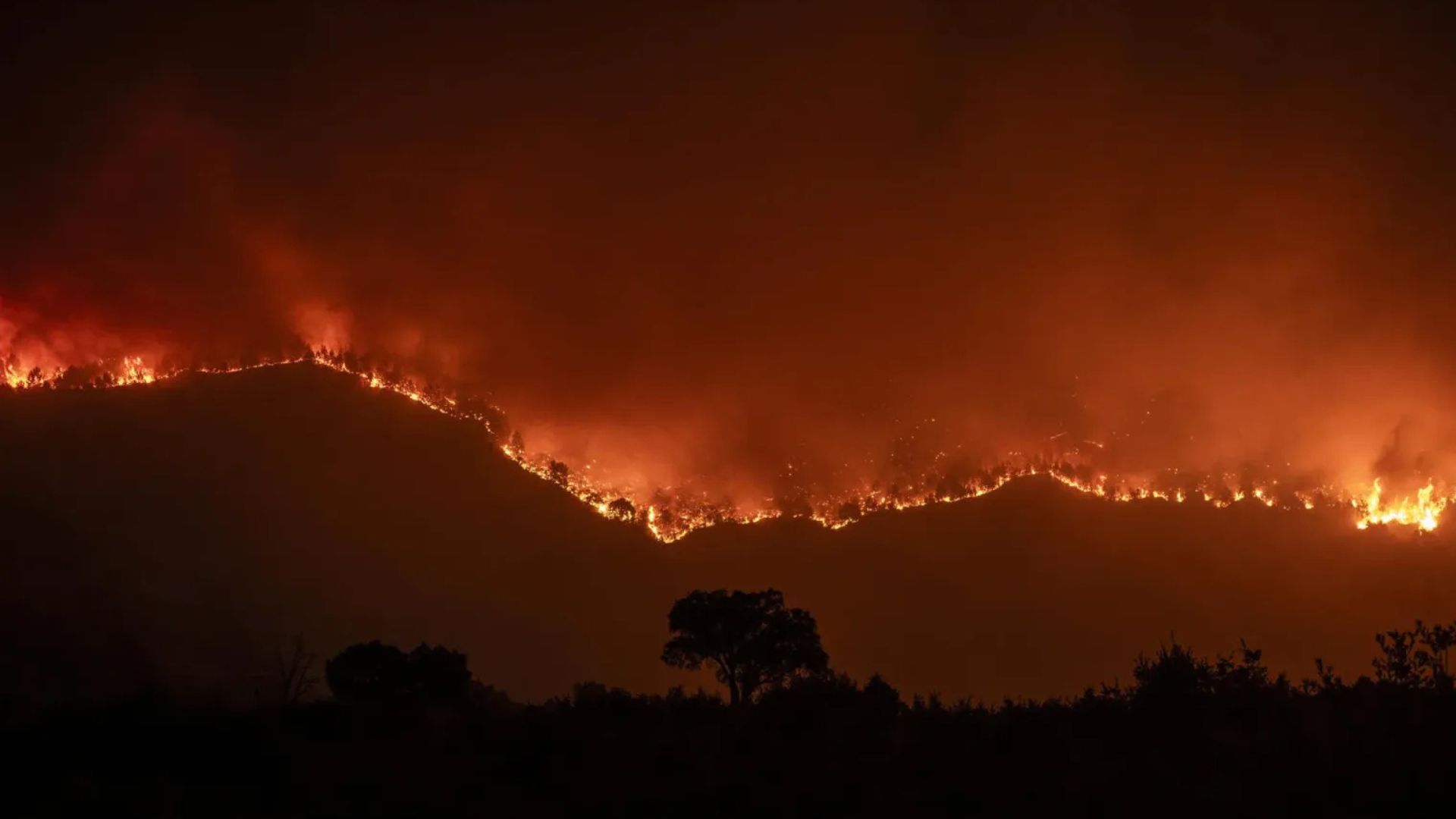 España pide ayuda a la UE por incendios: 8,000 evacuados y 50,000 hectáreas arrasadas