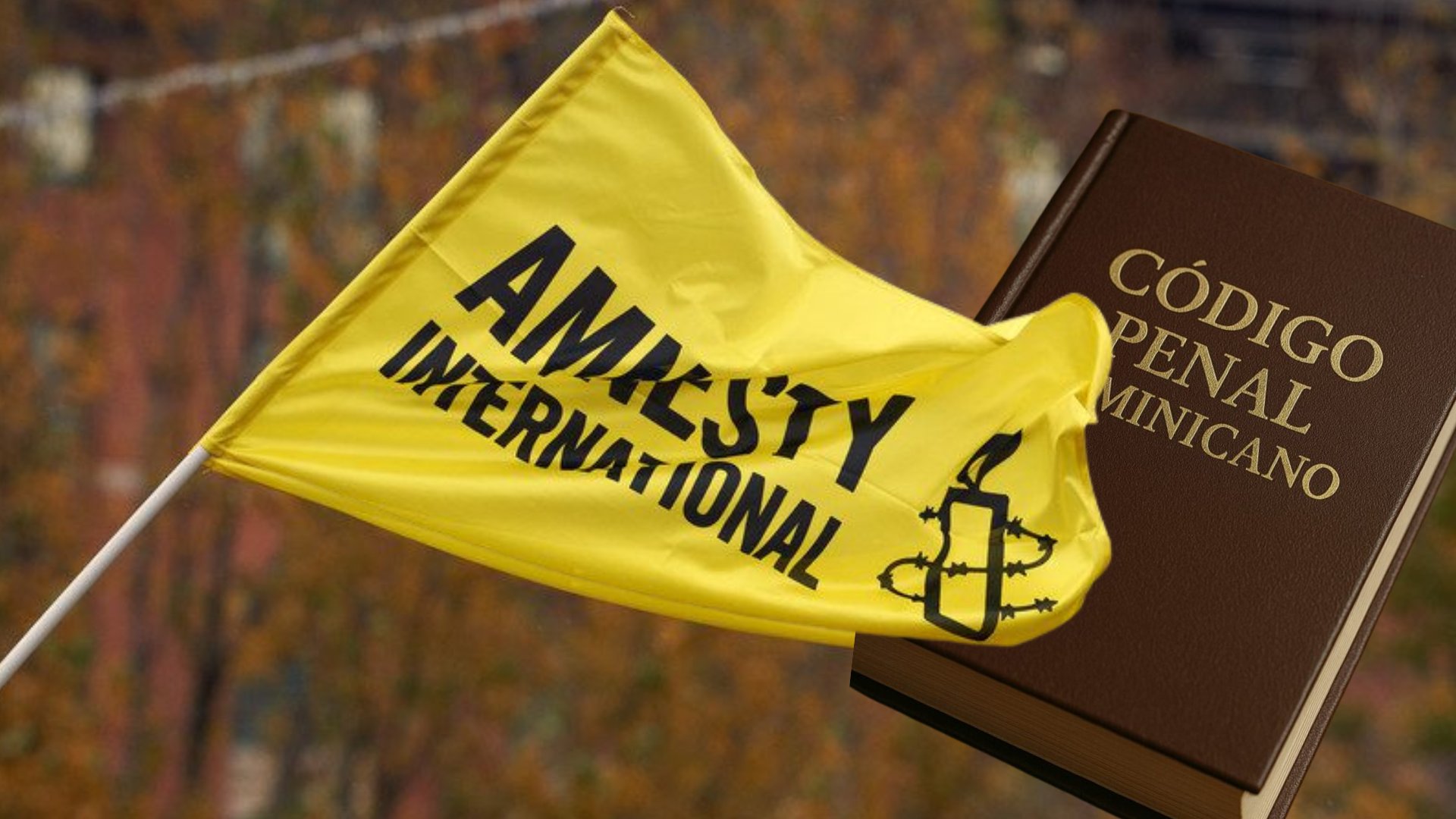 Amnistía Internacional rechaza aprobación del nuevo Código Penal sin las causales