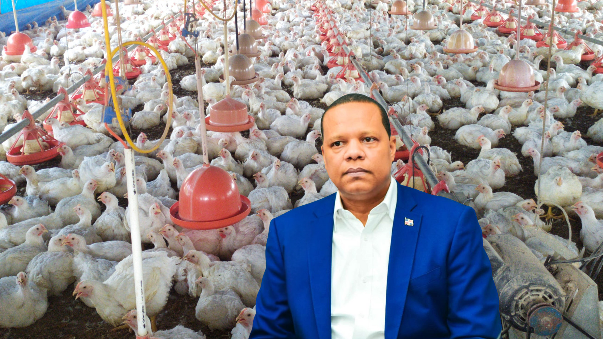 “Si el pollo está a 125 pesos en los mercados yo renuncio”, director de ProConsumidor desmiente alzas