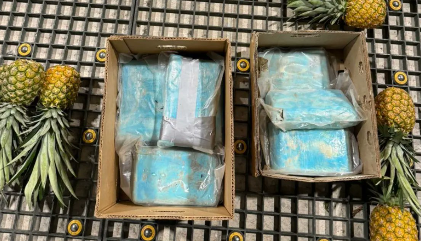 Incautan 30 paquetes de cocaína en cajas de piña; serían enviadas a Alemania