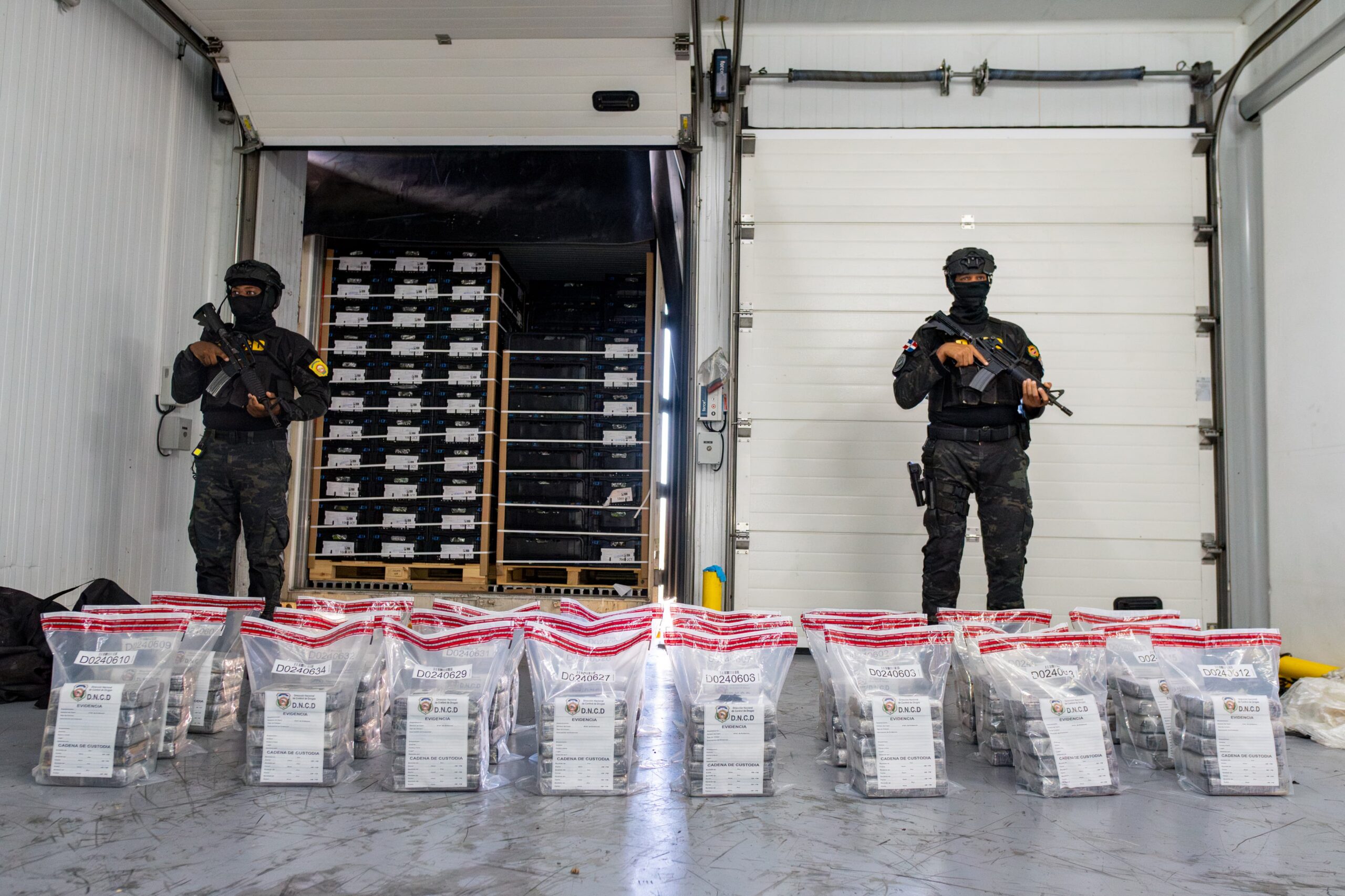 Incautan 120 paquetes de cocaína ocultos en cargamento de bananos que sería enviada a Londres