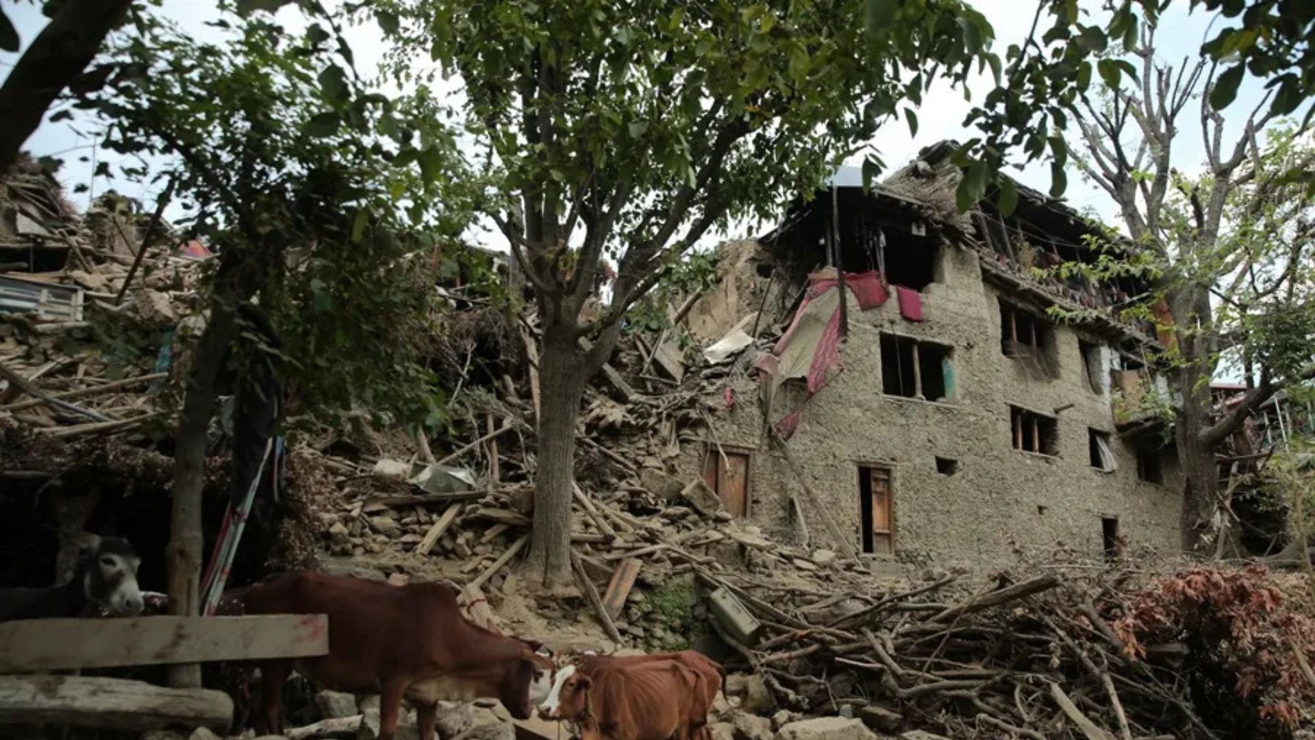 Otro terremoto de magnitud 5,2 golpea la zona afectada por sismo en Afganistán