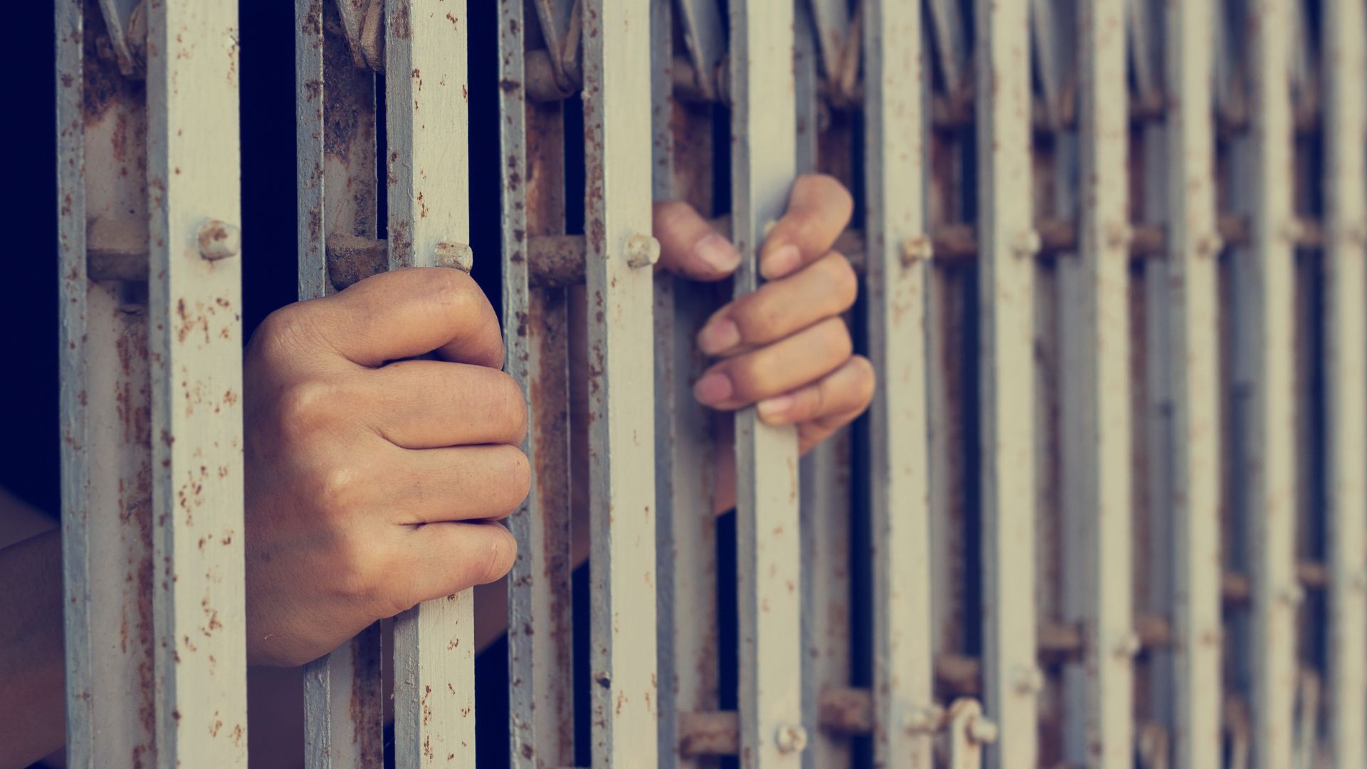 Policía recupera vehículos robados y detiene a varios durante operativo en Sabana Perdida