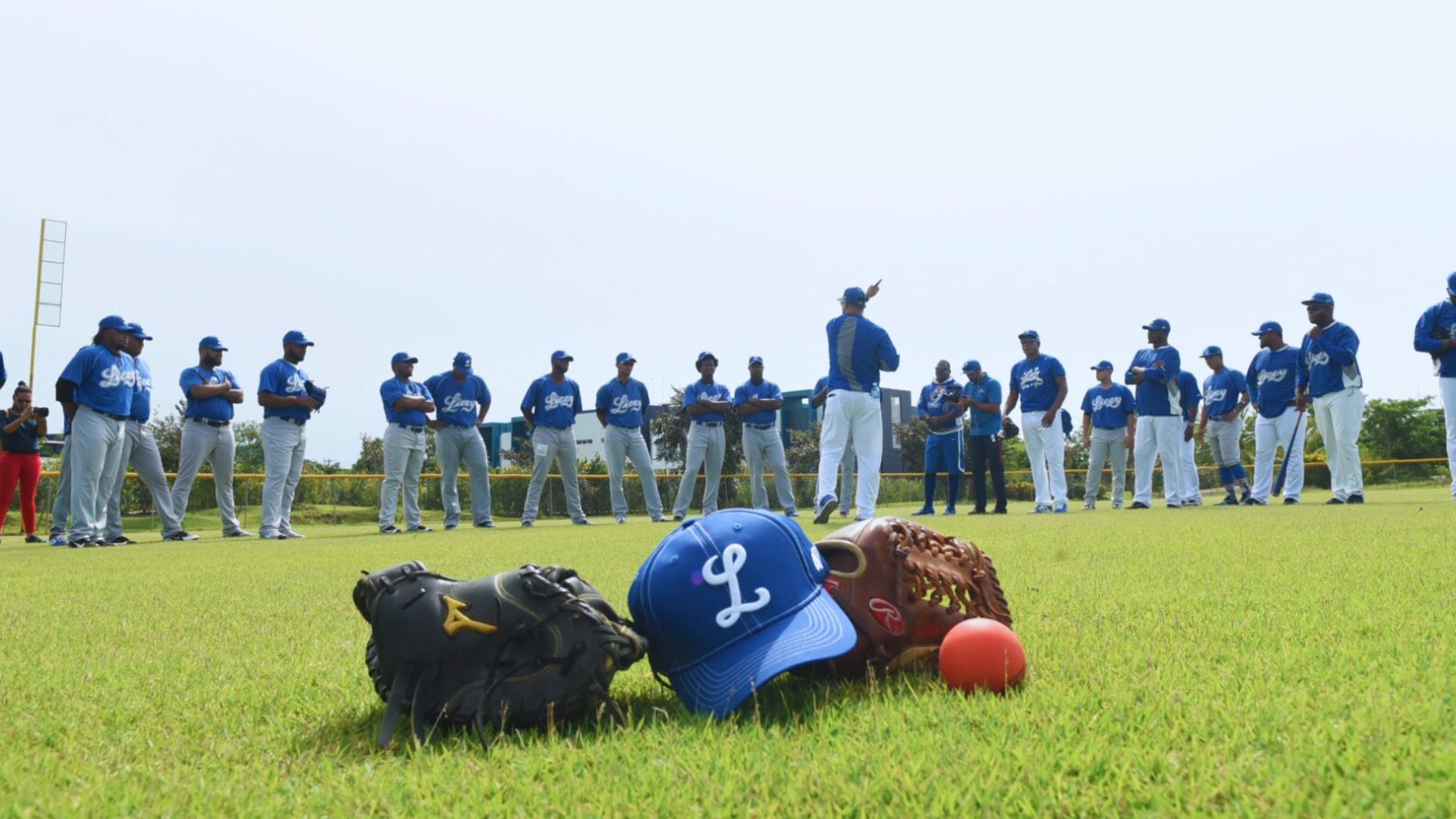 Tigres del Licey comenzarán sus entrenamientos este 22 de septiembre
