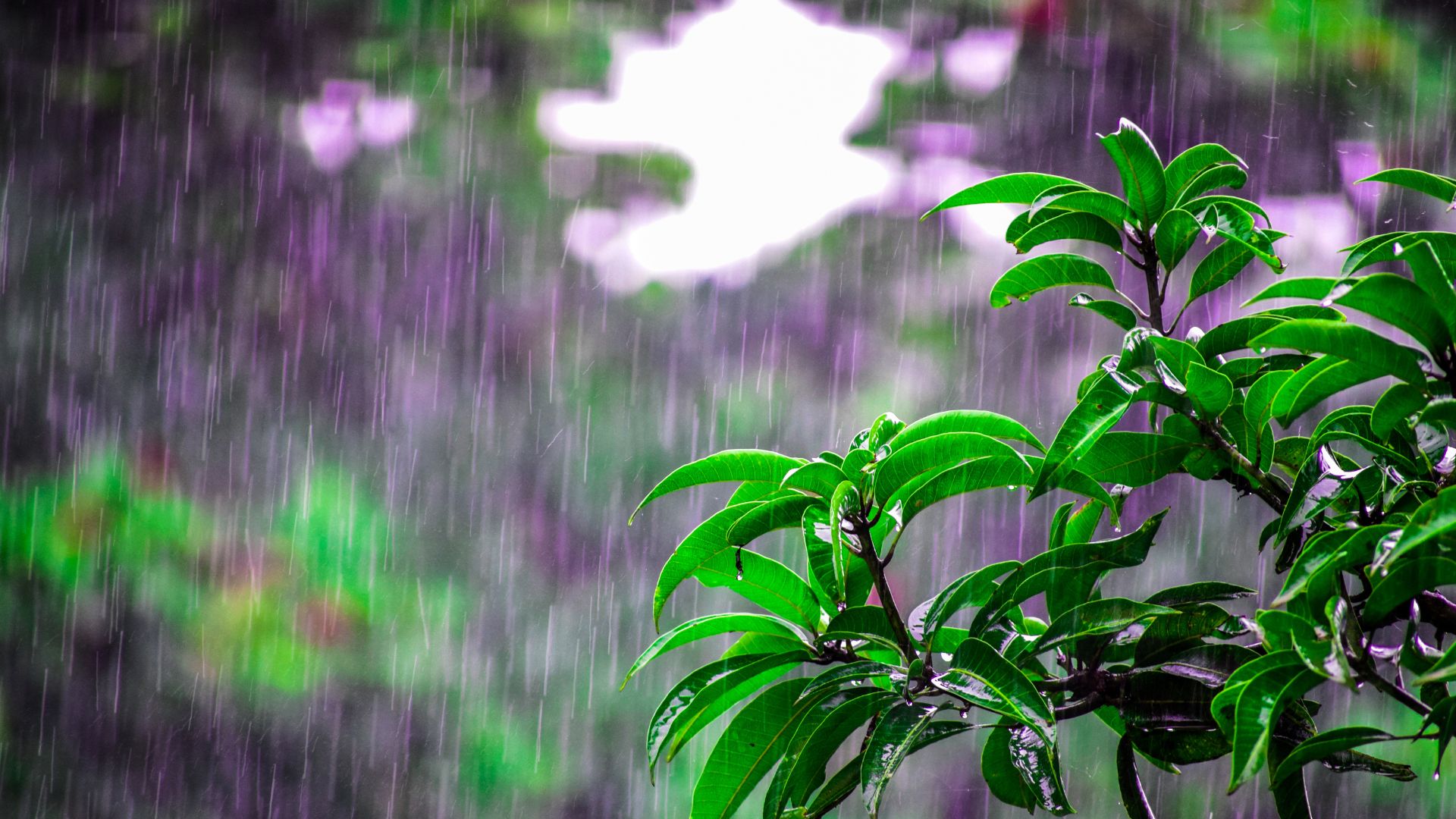 Vaguada y onda tropical provocarán aguaceros y tronadas en varias provincias