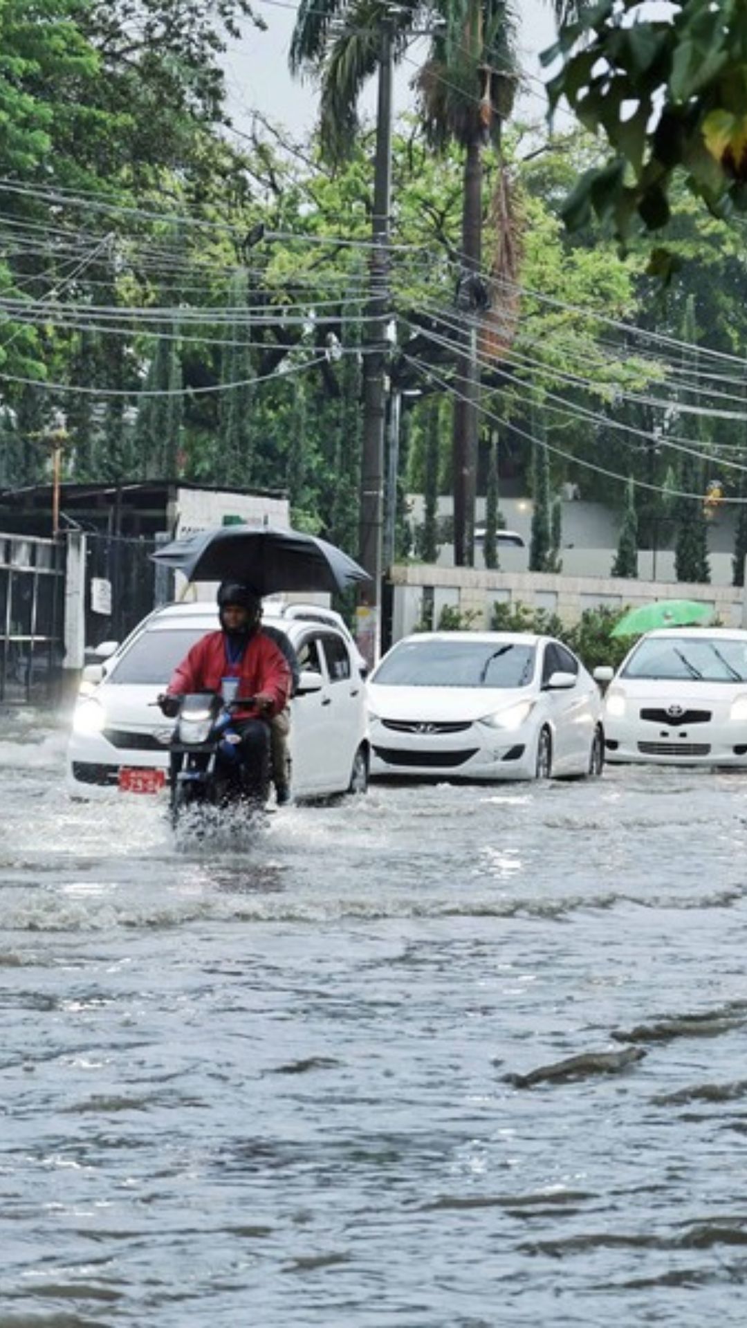RD y cambio climático: ¿cómo afecta al presupuesto?