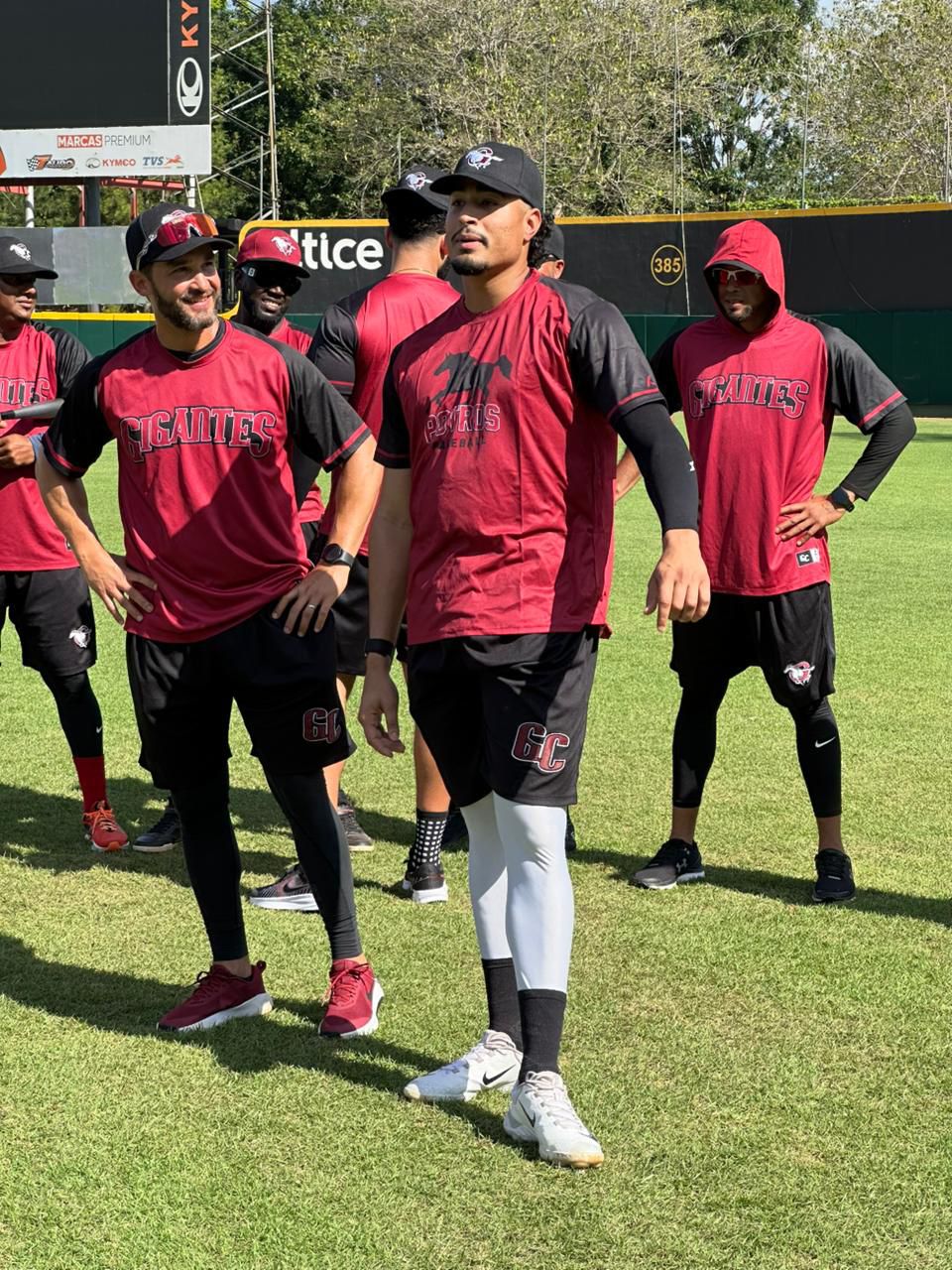 Mazara, Morales y Olivárez encabezan nuevas integraciones de los Gigantes
