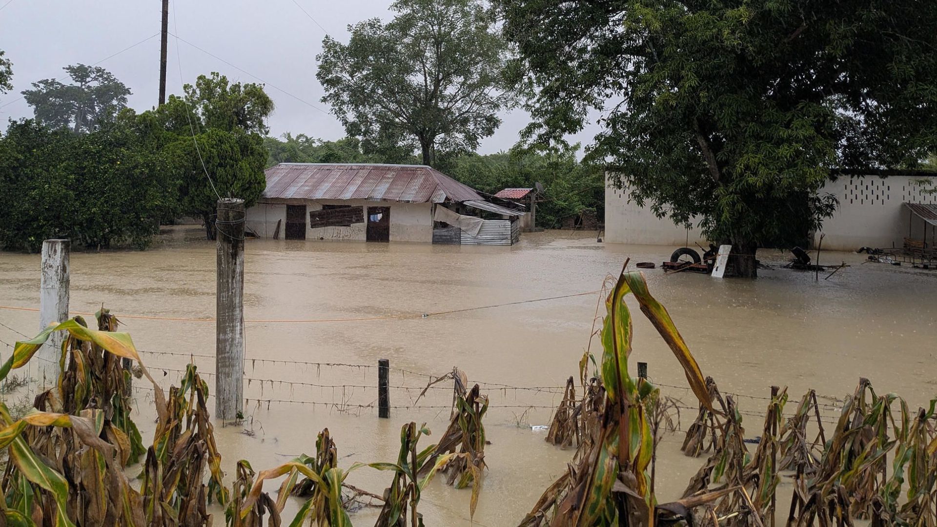 Fuertes lluvias dejan más de 40 muertos y varios desaparecidos en México