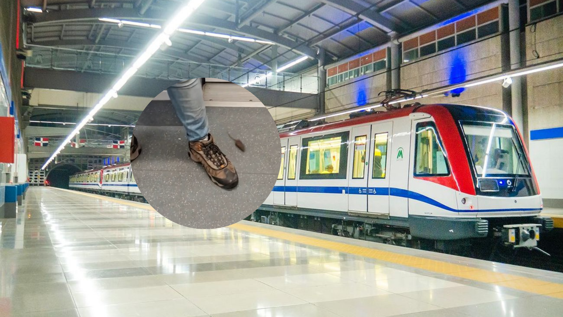Opret dice no puede confirmar si video donde aparece ratón se grabó en el Metro de Santo Domingo