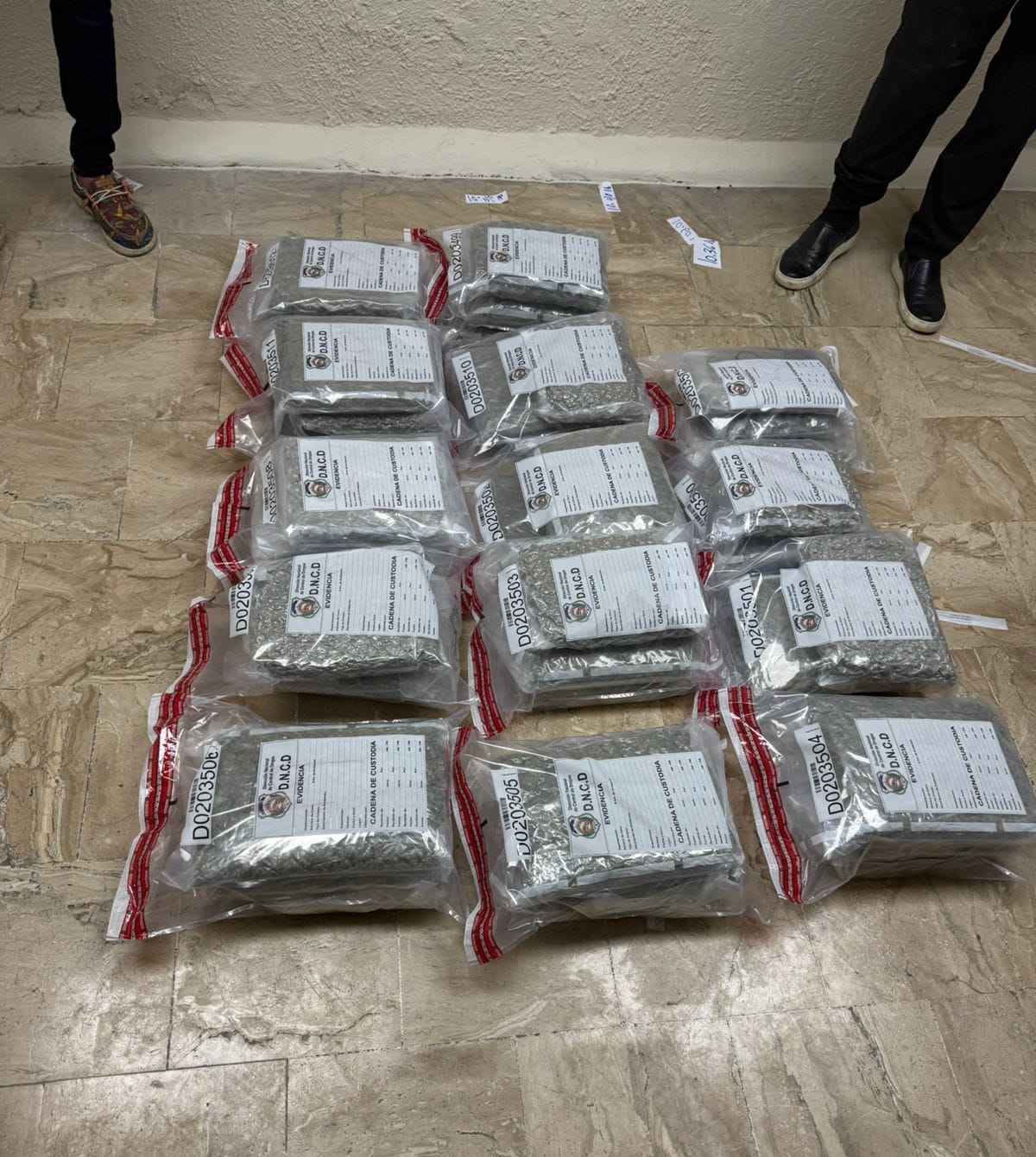 Incautan 42 paquetes de presunta marihuana envueltos en fundas plásticas en el aeropuerto de Punta Cana