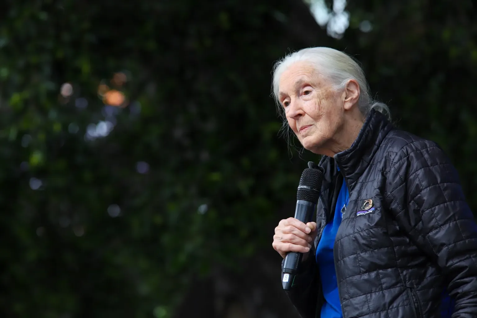 Jane Goodall, la etóloga británica que dedicó su vida al estudio de chimpancés