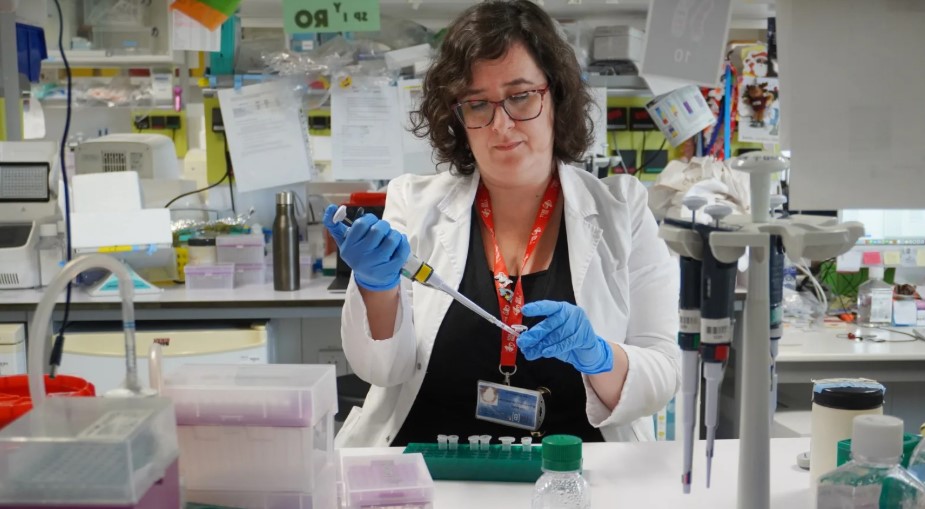 Terapia experimental logra rejuvenecer las células madre de la sangre