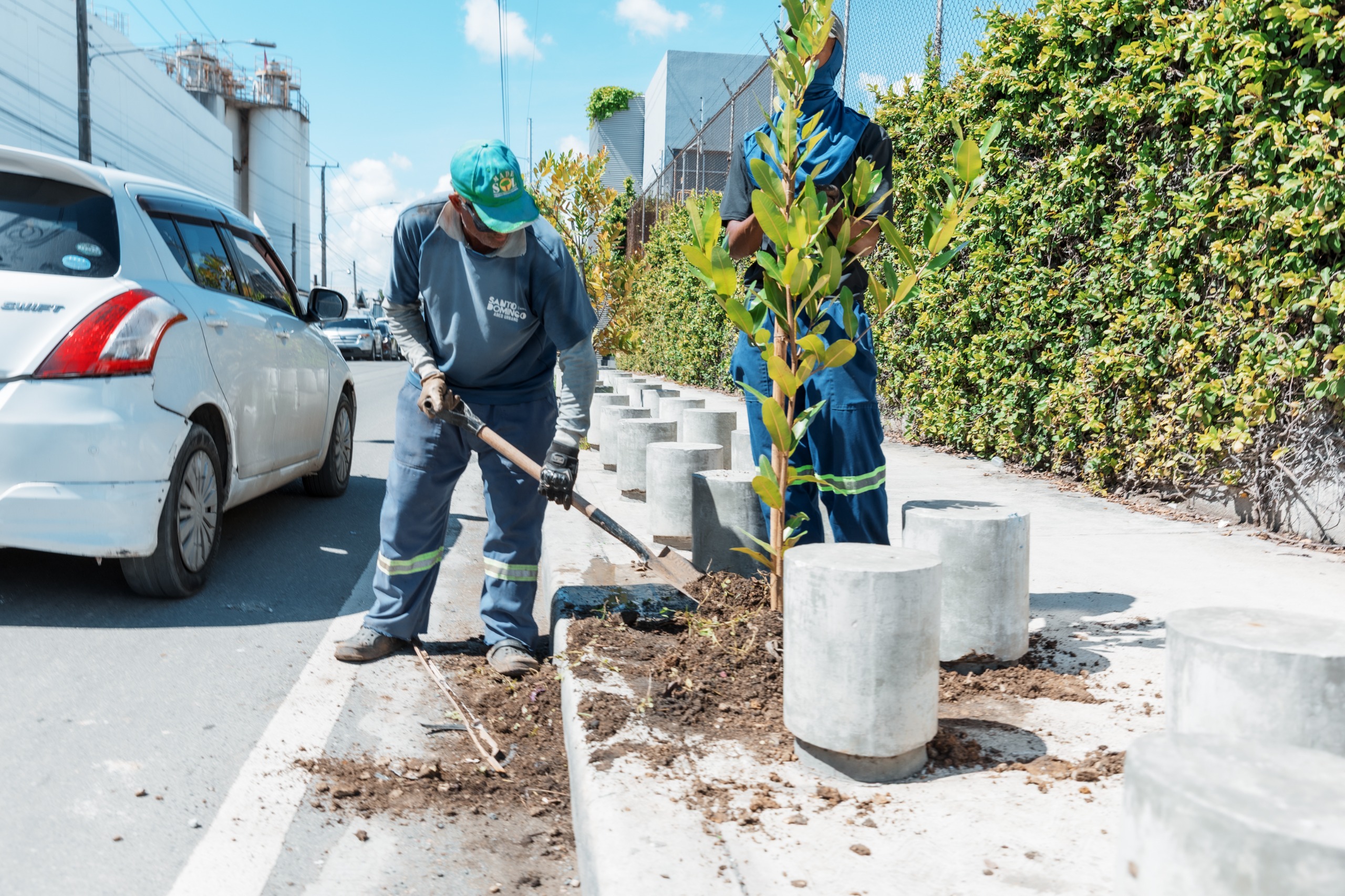 Alcaldía DN comienza restauración tras caída de más de 120 árboles por la tormenta Melissa