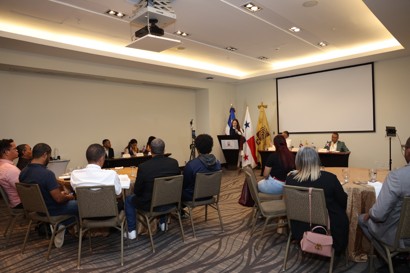 JCE recibe propuestas de aspirantes a miembros de las OCLEE en Chile y Panamá