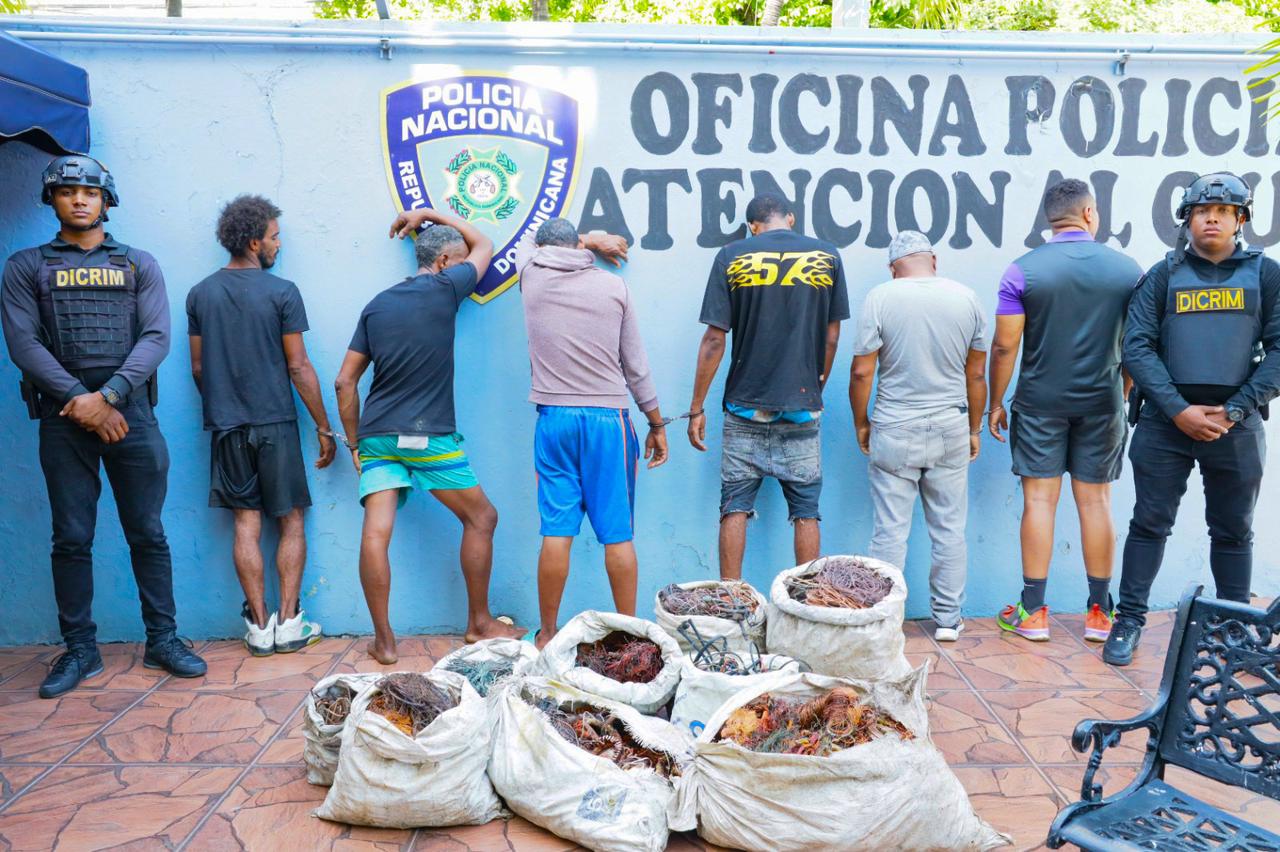 Desmantelan banda que robaba cables eléctricos; capturan al cabecilla apodado ´´Alto Voltaje´´