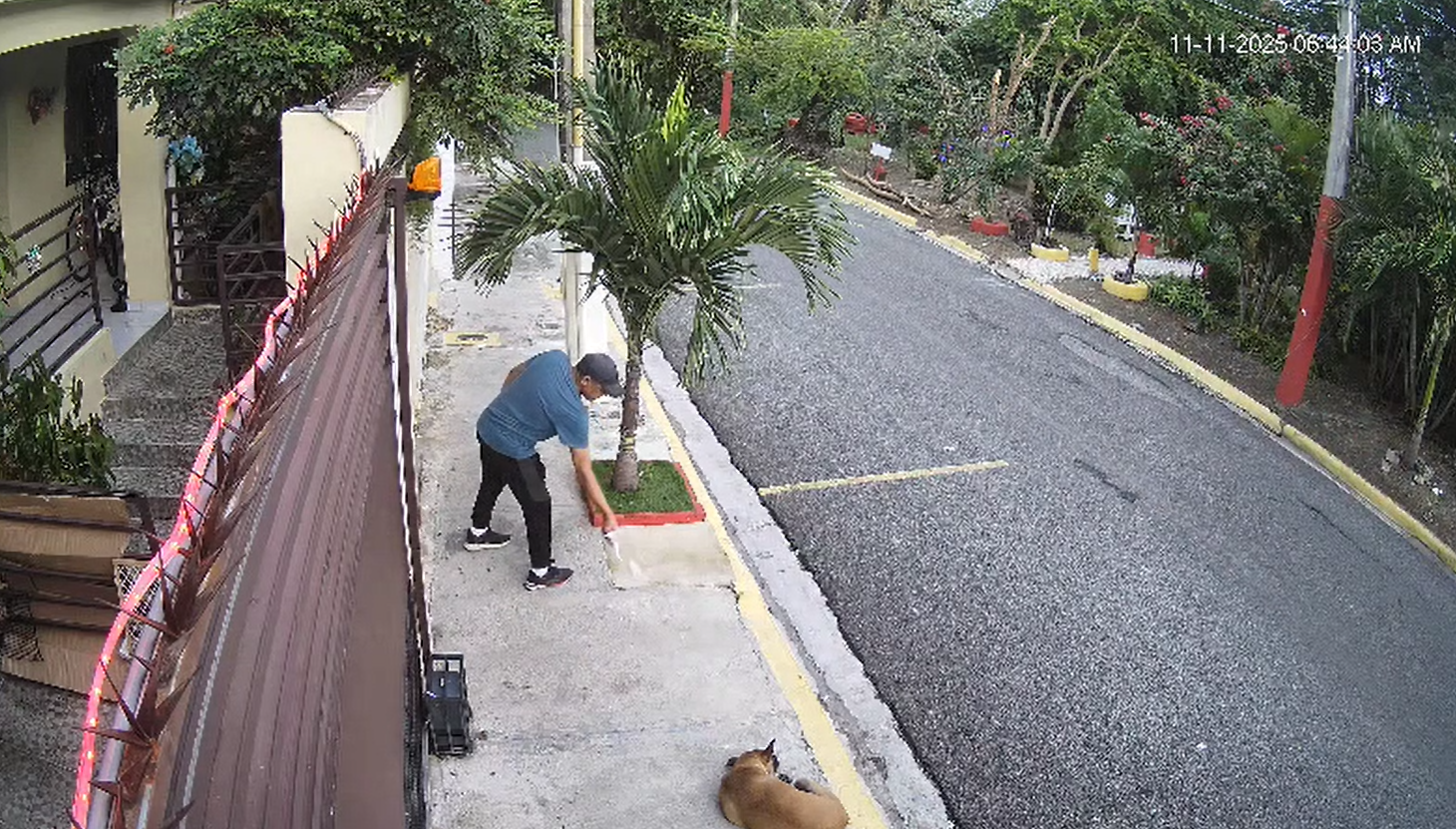 Detenido y sometido a la justicia acusado de envenenar perros en Villa Mella