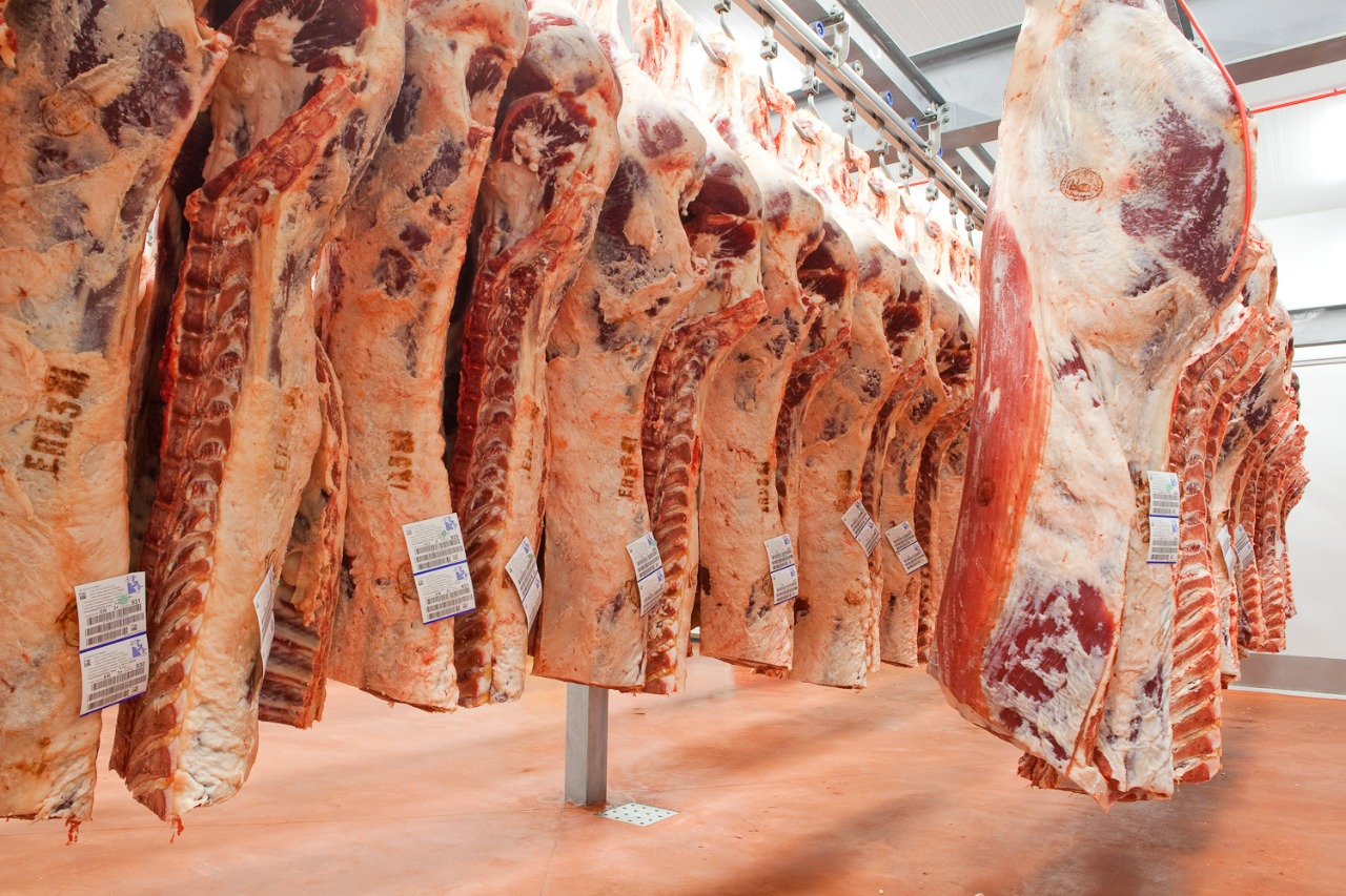 Procesamiento de carne creció 4 % y movió RD$63,357 millones