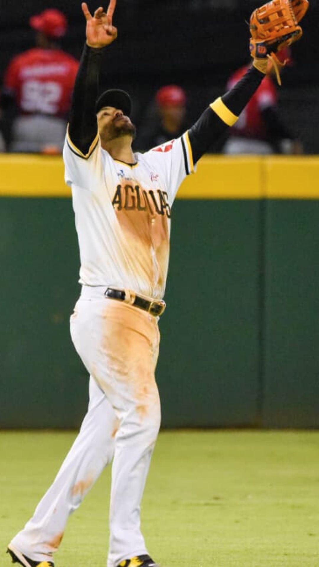 Águilas Cibaeñas blanquean a Leones y clasifican al round robin