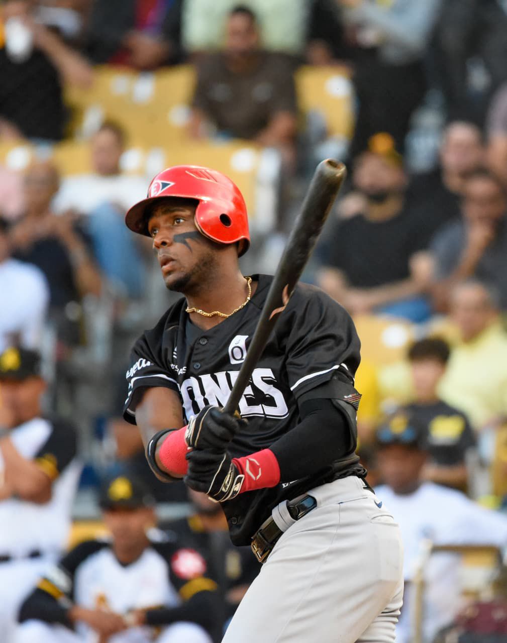 Leones inician el Round Robin con paliza sobre Águilas