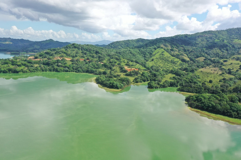 Medio Ambiente aclara coloración verde del agua en presa de Hatillo se debe a floración de algas