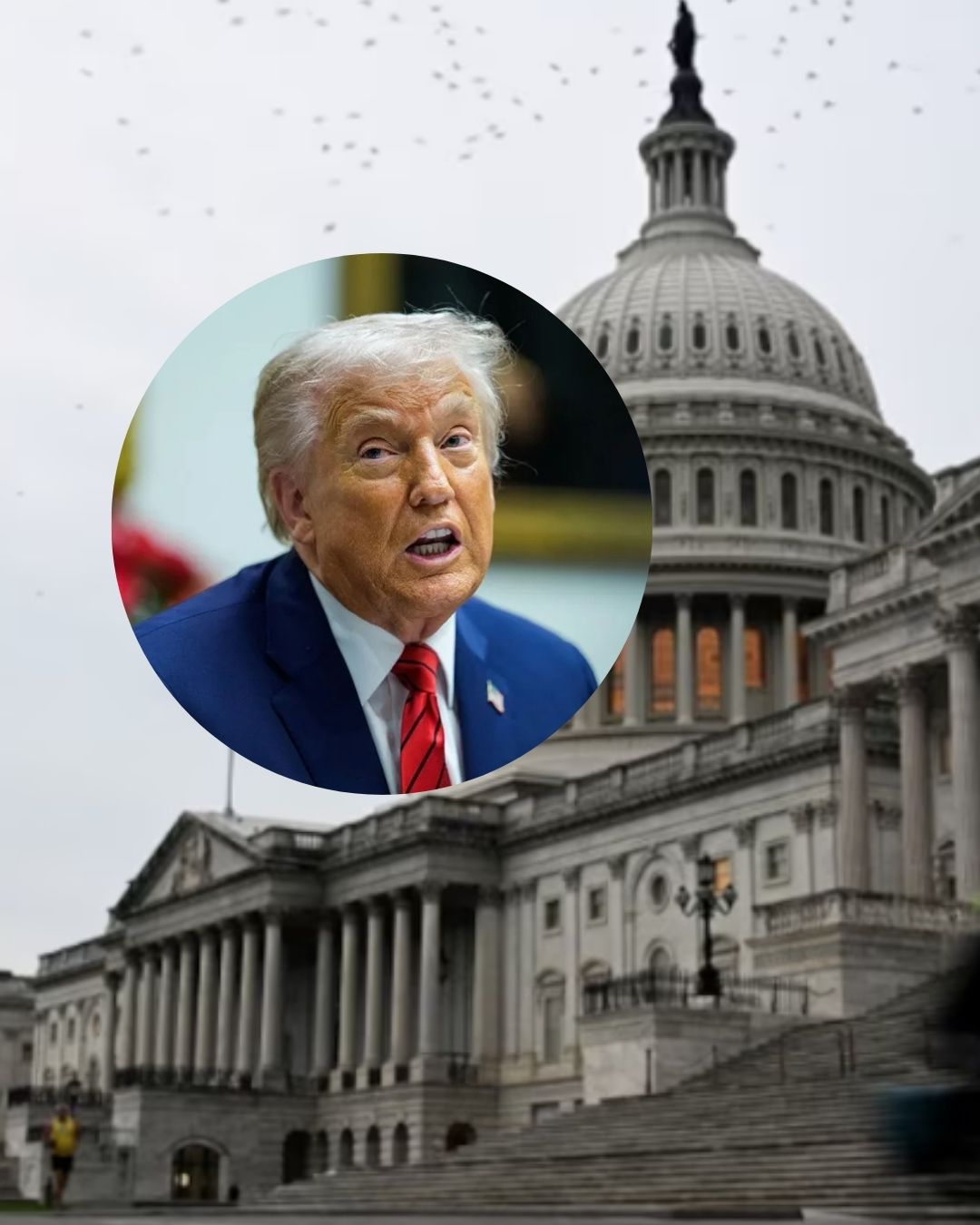 Trump califica de “estupidez” resolución del Senado que limita acciones militares en Venezuela