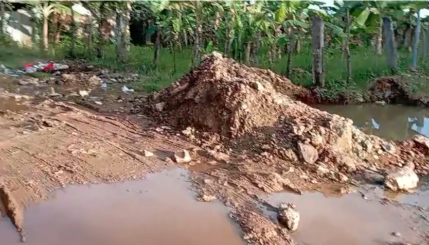 Moradores de Villa Verde, denuncian estado crítico de sus calles