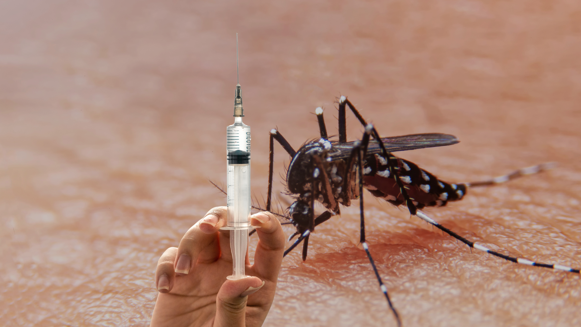 Brasil lanza un plan piloto de inmunización contra el dengue con una vacuna