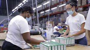 ¿Por qué la informalidad sigue dominando el empleo en RD?