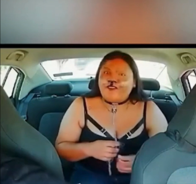 ¡Insólito! Joven asegura ser un perro y taxista la baja del auto: «Pida un Uber Pet'»