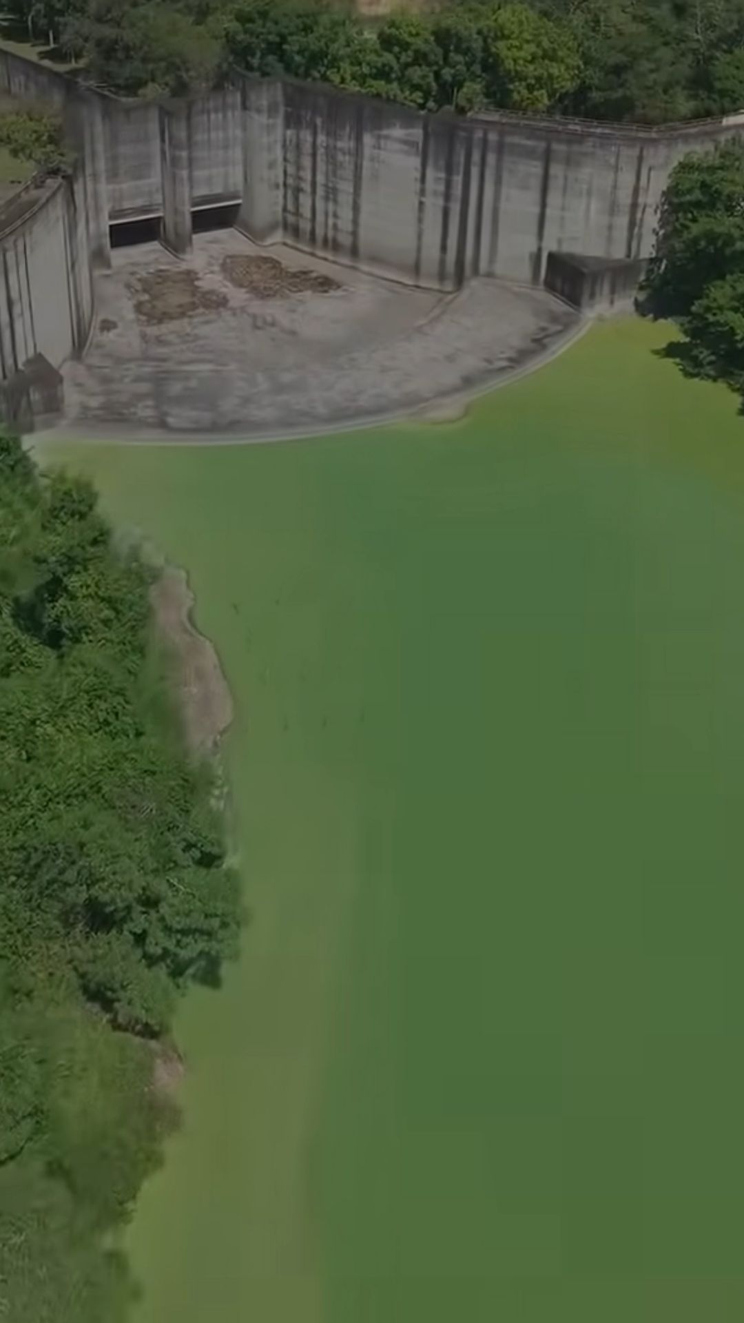 Reportaje de Te Lo Explico revela niveles preocupantes de metales pesados en el embalse de Hatillo