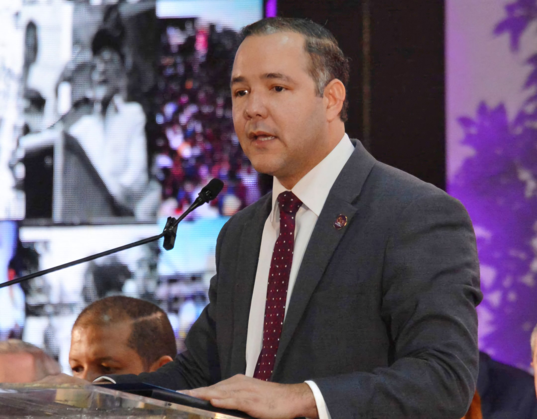 PLD validará la lista preliminar de aspirantes a la presidencia 2028