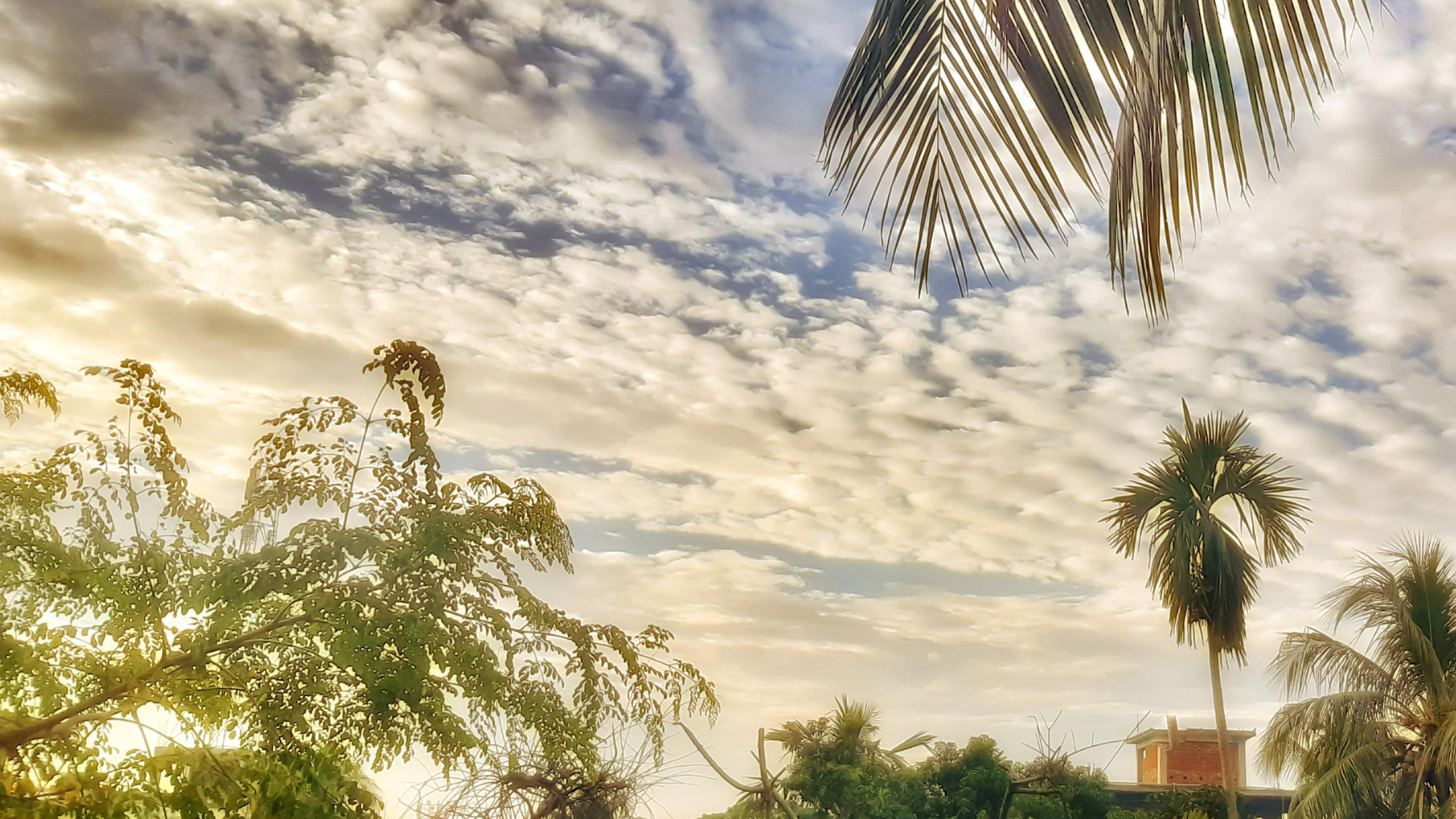 Indomet prevé temperaturas agradables y lluvias aisladas en varias provincias