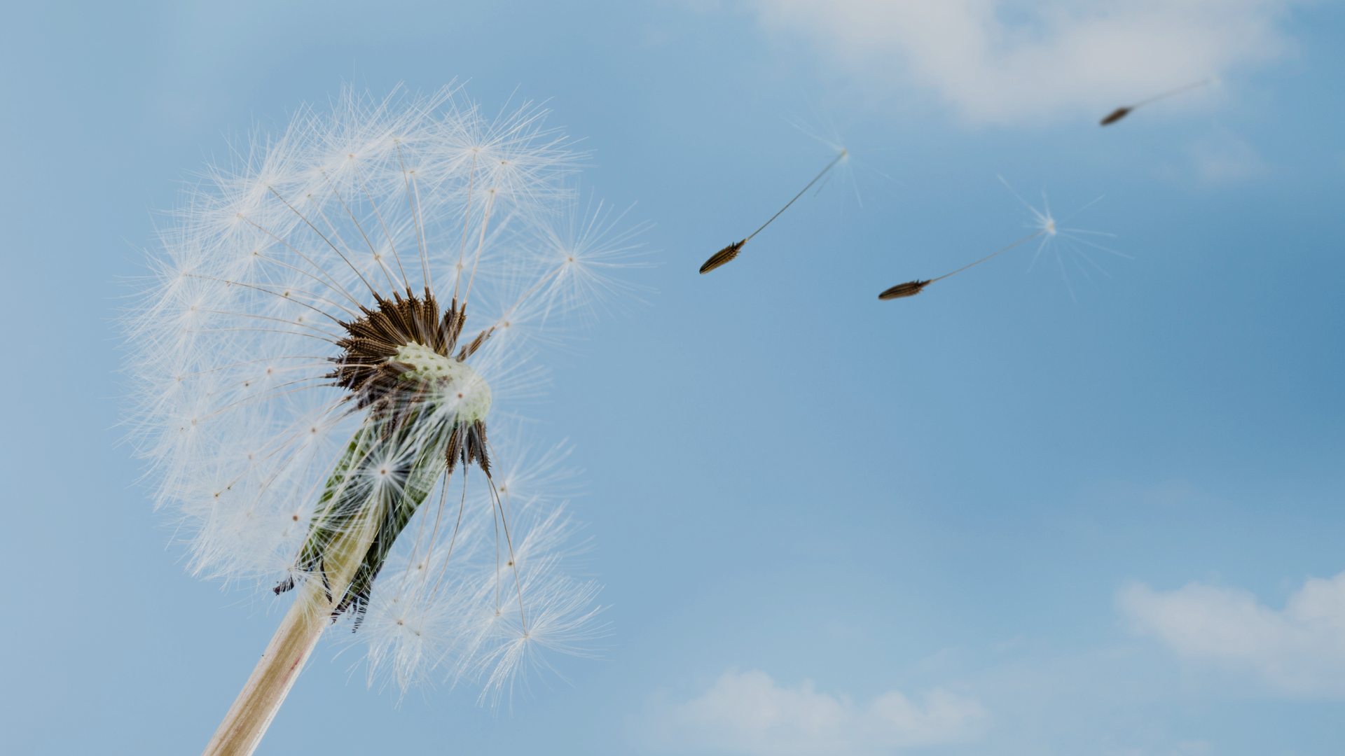 Temperaturas continuarán frescas esta noche; mínimas podrían descender hasta 15 °C