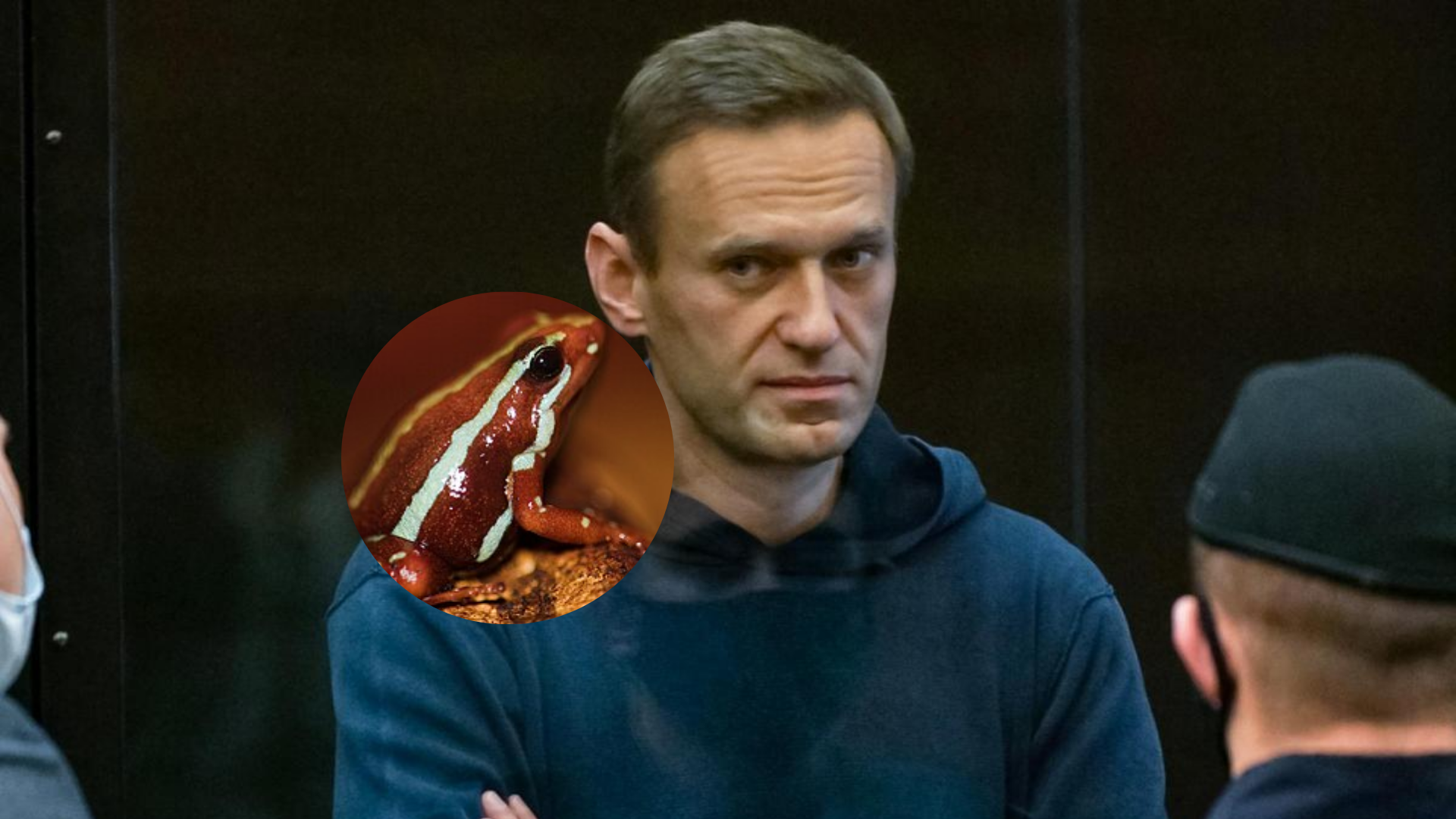 Opositor ruso habría muerto envenenado con toxina letal presente en una rana