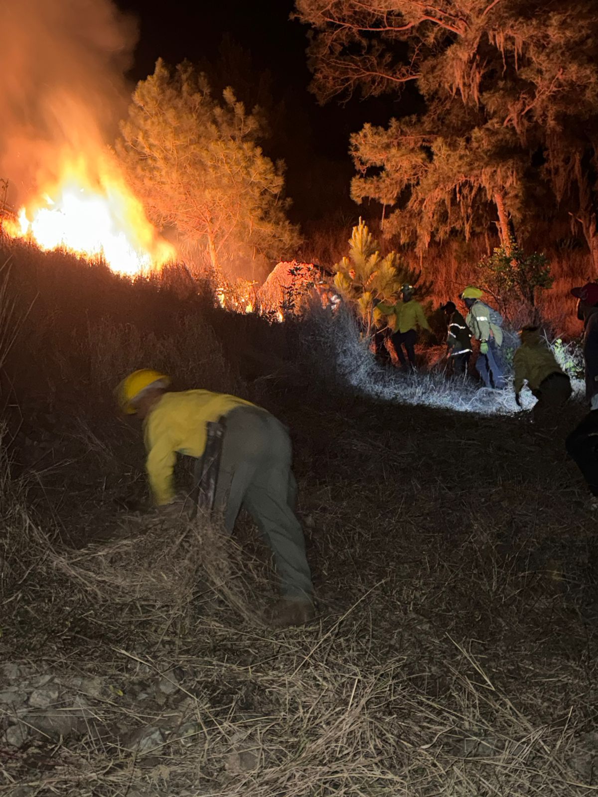 Incendio forestal afecta montaña cercana al santuario El Divino Niño en Constanza