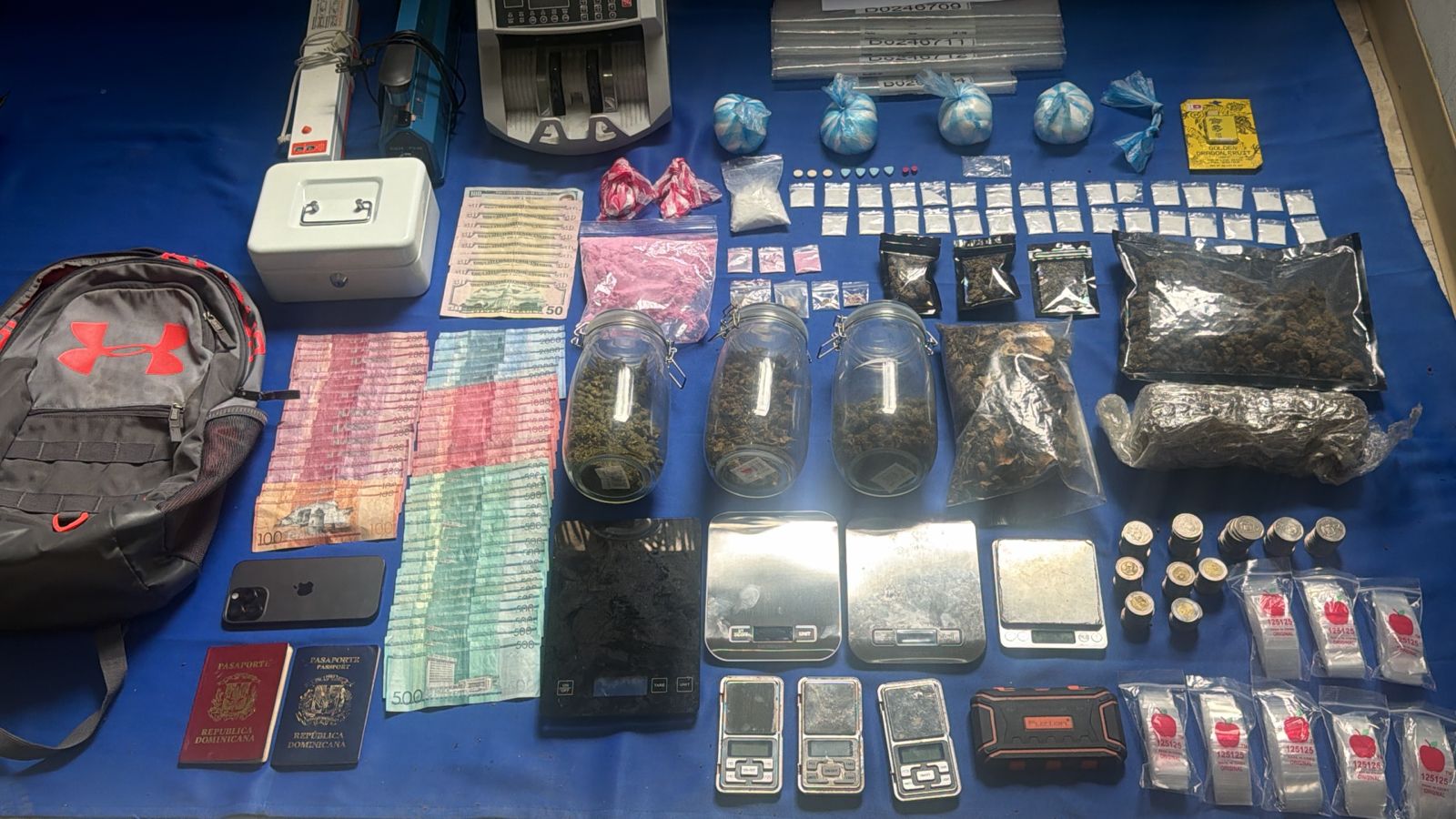 Más de 984 mil gramos de drogas incautadas en marzo durante operativos contra microtráfico