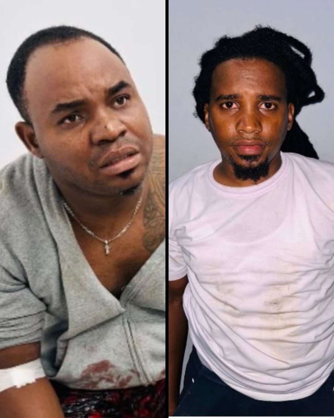 Policía apresa a dos hombres tras frustrar el robo de 60 cerdos en Tamboril