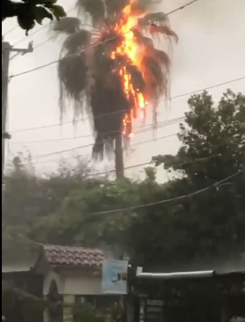 Rayo impacta palma y provoca incendio en una vivienda en La Vega