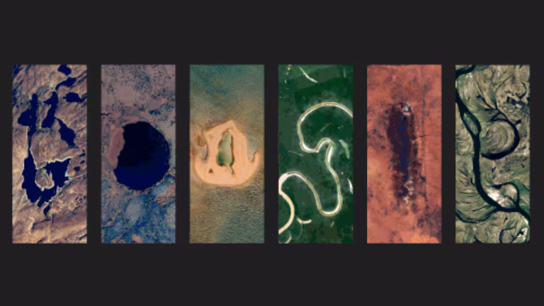 Google celebra el Día de la Tierra con un doodle especial: este es su significado