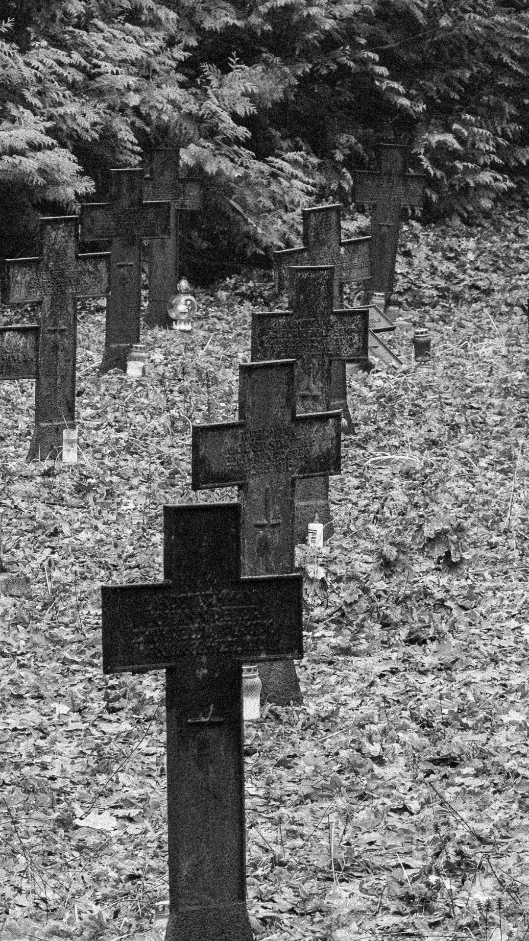 COE reporta 7 fallecidos y 64 accidentes de tránsito durante asueto de Semana Santa