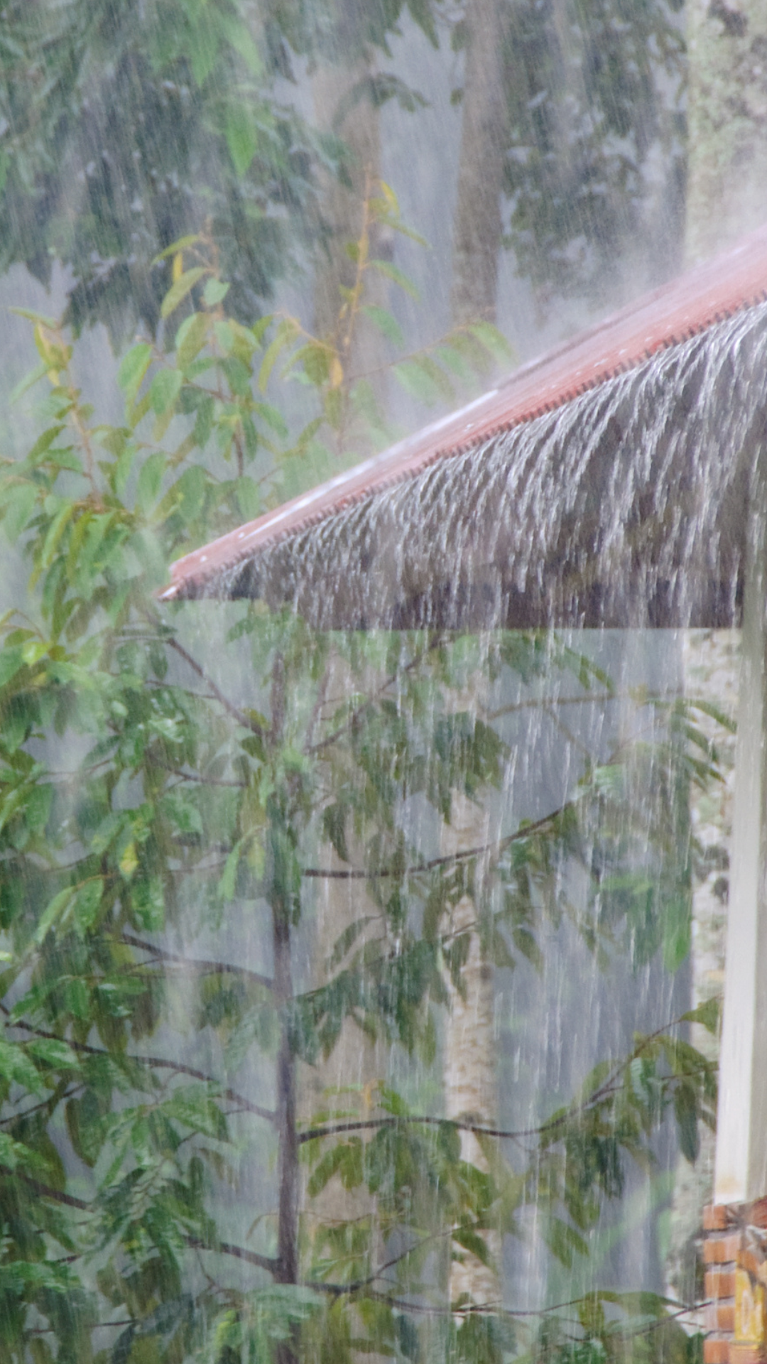 Tres provincias en alerta roja por incidencia de una vaguada en el país