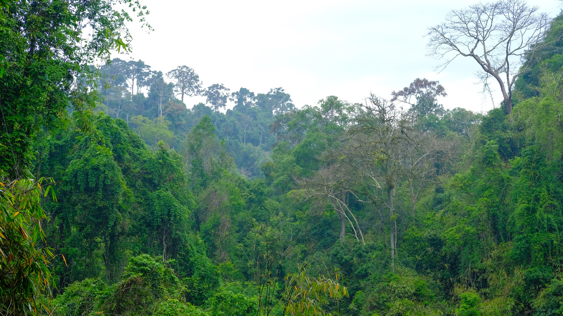 Condiciones del tiempo seguirán inestables con lluvias y ráfagas de viento pese a debilitamiento frontal