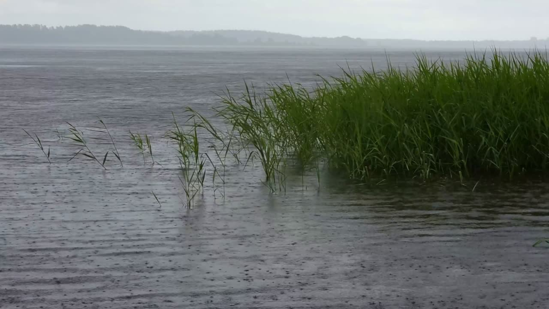 Vaguada provocará aguaceros y tronadas en varias provincias este lunes