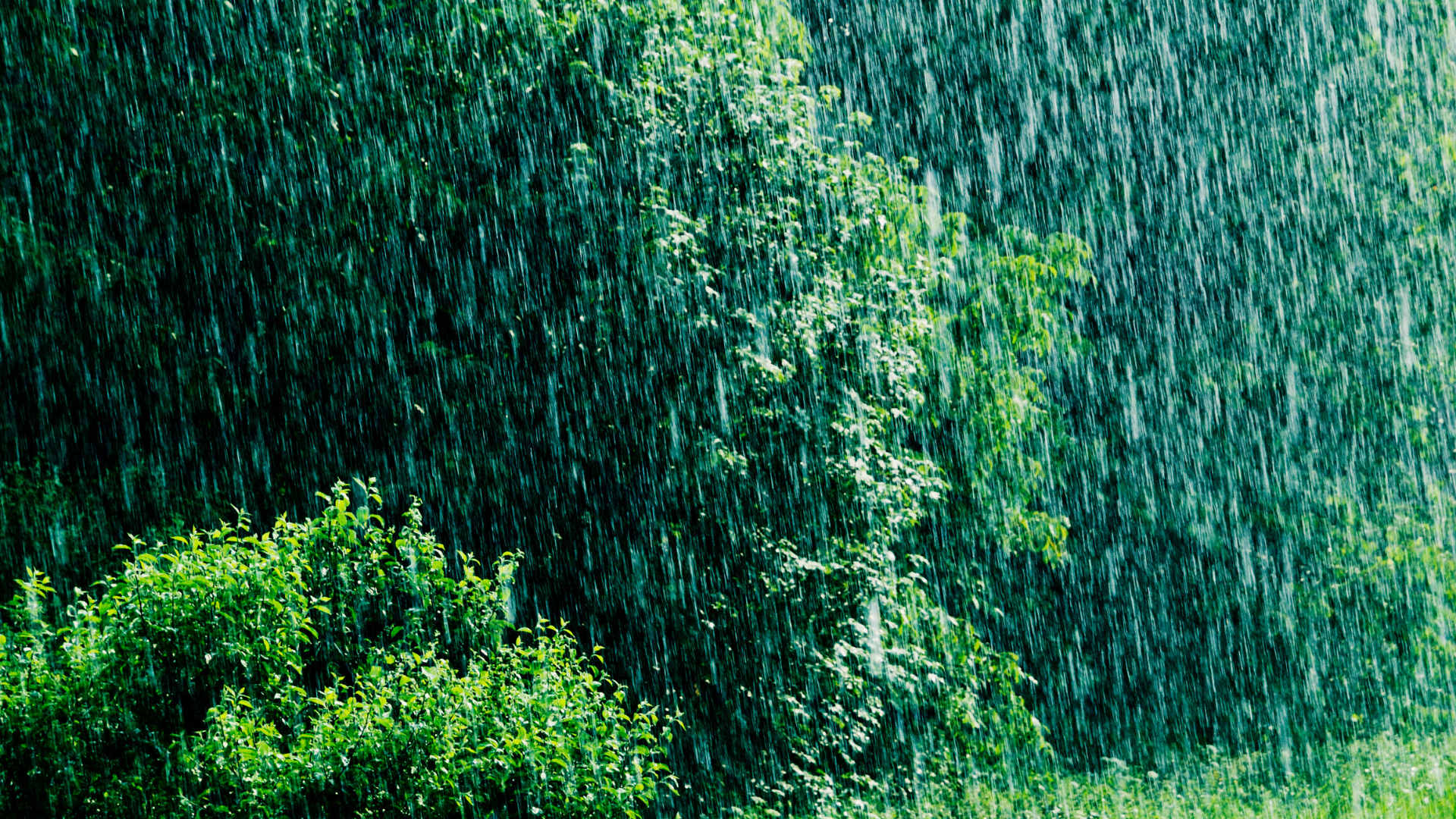 Vaguada continuará generando fuertes aguaceros, tronadas y posibles granizadas esta tarde
