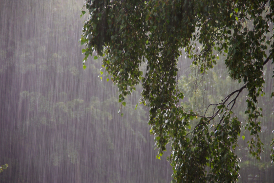 COE coloca 11 provincias y DN en alerta amarilla y 10 en verde