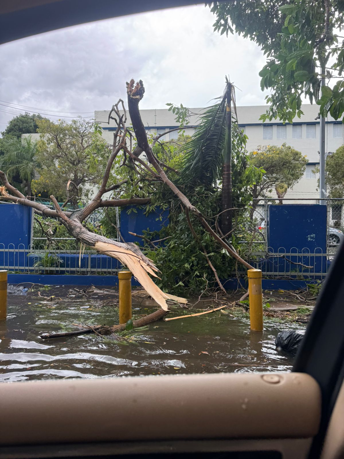 Ventarrones derriban vallas y tendido eléctrico en el Distrito Nacional